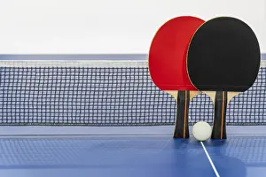 Category Wildlife DE Prints: Black and red table tennis racket and a white ball on the blue ping pong table with a net