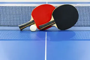 Category Wildlife DE Prints: Black and red table tennis racket and a white ball on the blue ping pong table with a net
