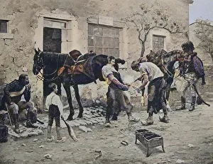 Blacksmith shoeing the horses, in front of his forge