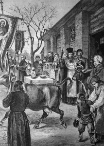 Blessing of cows on St. George's Day in Russia