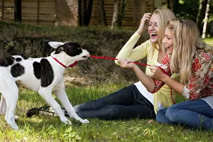 Two blond girls and a american bulldog in the park