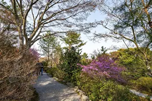 Blooming bushes in Sogenchi Teien Japanese Garden