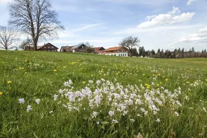 Blooming landscape with farmhouses