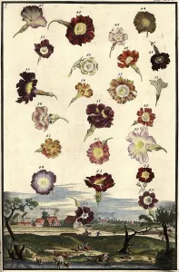 Blossoms and view of Cleishamer and Zabelshof