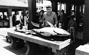 Bluefin tuna (Thunnus thynnus) fish market