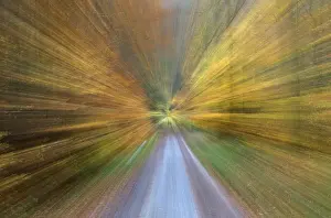 Blurred autumn forest Germany