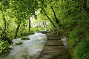 Boardwalk across river, Plitvice Lakes National Park