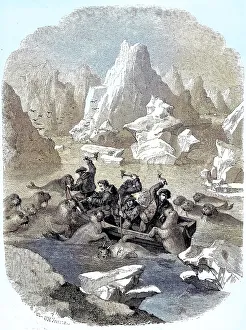 Boat being attacked by walruses