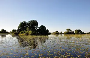 Boat-trip through the Okavango-Delta swamps in the Kalahari-desert