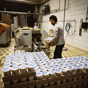 Bochum, company Westmilch, dairy, on 22, 5, 1980