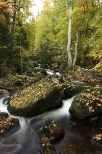 Bode river in the Elendstal valley