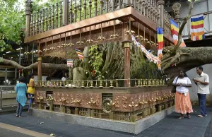 Category Buddhism Prints: Bodhi tree, Gangaramaya Temple