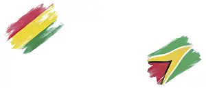 Bolivia and Guyana Flags on White Background