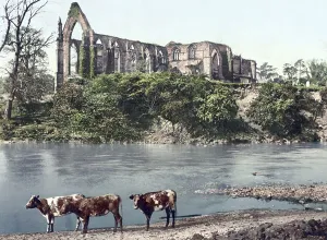 Bolton Abbey is the ruin of a 12th century monastery in Yorkshire