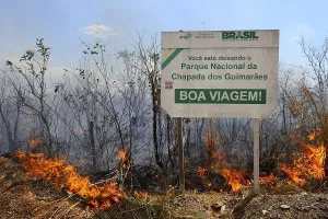 Bon voyage, National Park sign at a bushfire