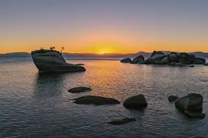 Bonsai Rock, small tree on a rock in the water
