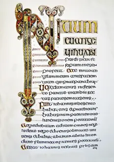 The Book of Durrow is a medieval illuminated manuscript gospel book in the Insular art style