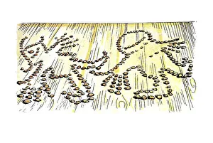 Book illustration, Max and Moritz ground to whole grain