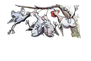 Book illustration, rooster and chickens with bread on strings caught in a tree
