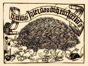Bookplate of Johannes Knabensperg