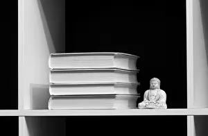 Books on a shelf and buddha over dark. WB image