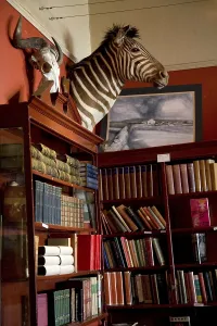 Bookstore Quagga in Kalk Bay