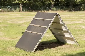 Borken, NRW, Germany, A-frame dog walk ramp stands on grass field at canine training center