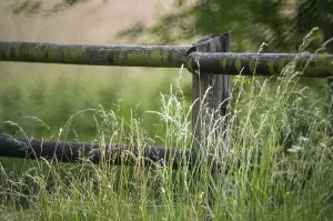 Borken, NRW, Germany, Weathered wooden fence protecting a field of vibrant green grass
