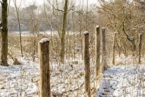 Borken, NRW, Germany, Wooden fence posts with wire in snowy winter forest