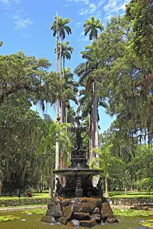 In the Botanical Garden of Rio de Janeiro
