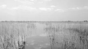 Botswana: A boat trip through the flooded Okavango Delta in the Kalahari