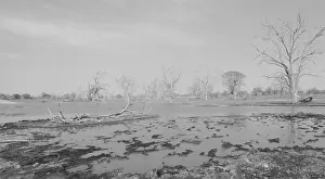 Botswana: The Okavango Delta flooded