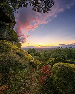 Boulders covered with moss on a green forest tree nature landscape at sunset