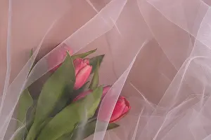 The bouquet of tulips is covered with organza