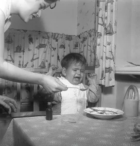 Boy in the 1950s. An angry little boy is being spoon fed his food against his will