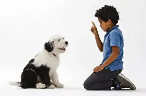 Boy, 8 years, training an Old English Sheepdog puppy