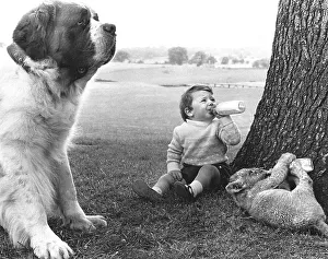 Boy and baby lion drink milk with St