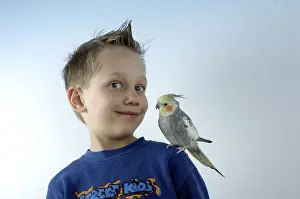 Boy with cockatiel (Nymphicus hollandicus)