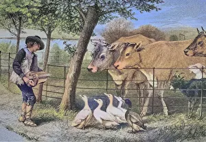 Boy with a musical instrument playing in front of listeners