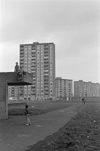 Boys climbing on canopy, children