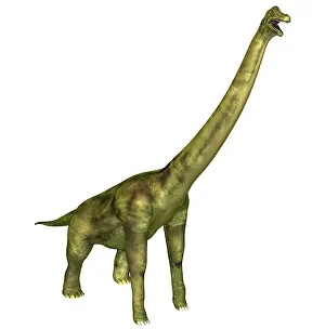 The brachiosaurus seemed also to arm lizard mentioned in the jurassic