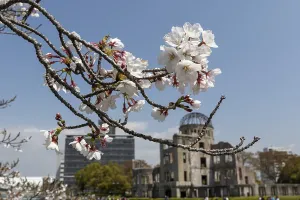Branch with cherry blossoms, Sakura