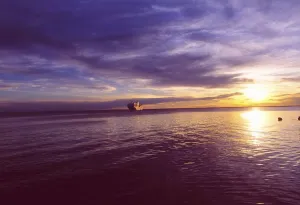 Brazil: Amazon river cruise with the cruise ship MS Bremen