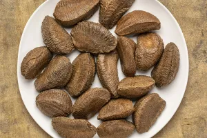 Brazilian nuts in shells on a white plate against textured bark paper background