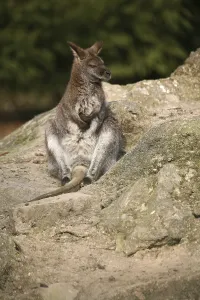Break on a rock