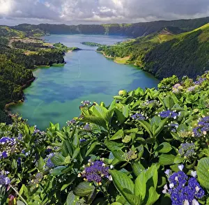 Breathtaking view of the crater lakes Lagoa Verde and Lagoa Azul with blooming hydrangeas in the foreground