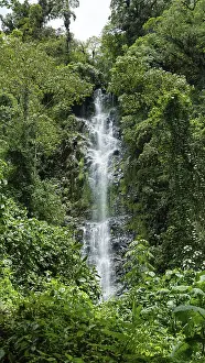 A breathtaking waterfall cascades through a dense