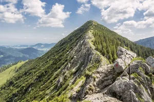 The Brecherspitze in the Spitzingsee region