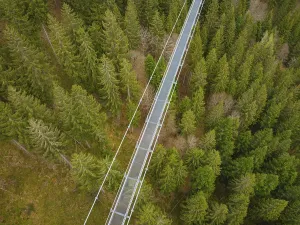 Bridge filmed from a height over a coniferous forest with dense treetops
