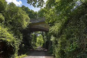 Bridge over the Rhine Donkey Cycle Route
